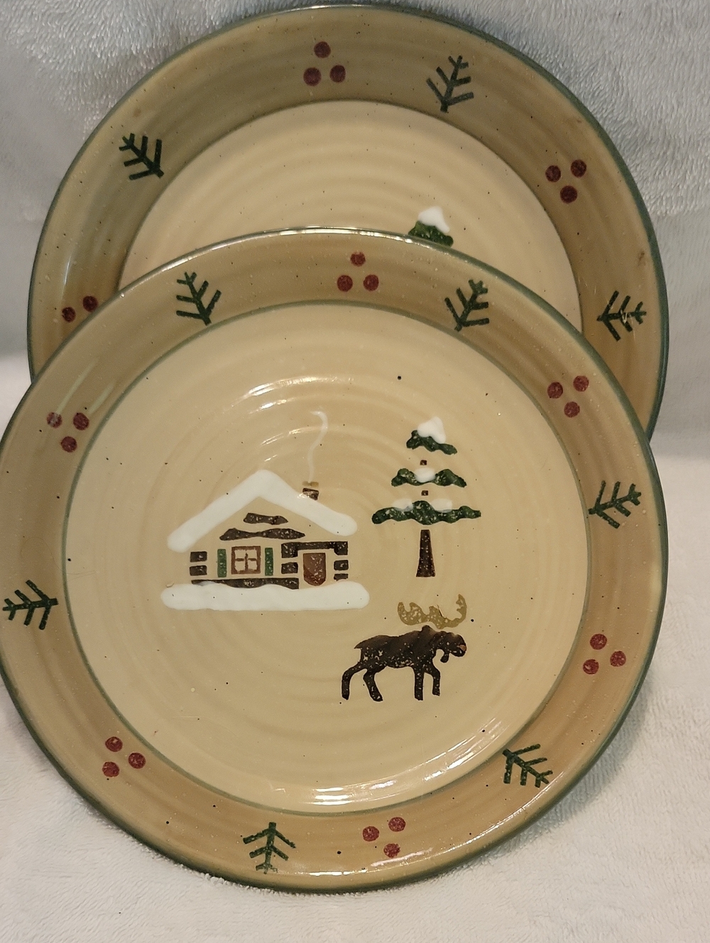 Sonoma Lodge Luncheon Plates